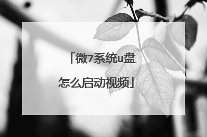 微7系统u盘怎么启动视频