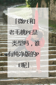 微PE和 老毛桃PE是一类型吗，谁有纯净版的PE呢