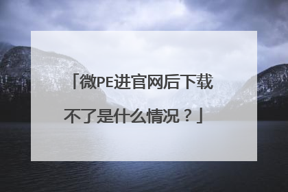 微PE进官网后下载不了是什么情况?