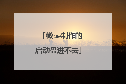 微pe制作的启动盘进不去