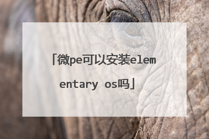 微pe可以安装elementary os吗