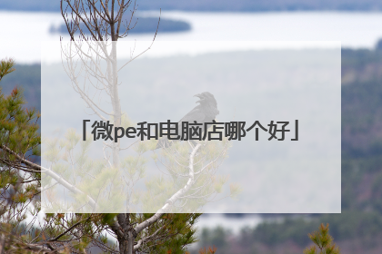 微pe和电脑店哪个好