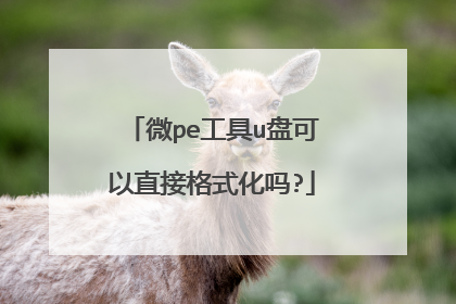 微pe工具u盘可以直接格式化吗?