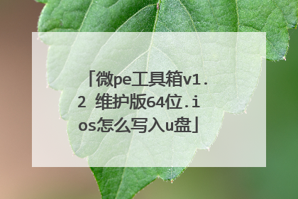 微pe工具箱v1.2 维护版64位.ios怎么写入u盘