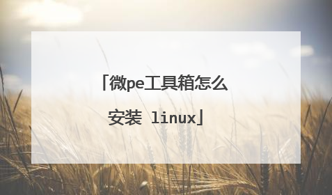微pe工具箱怎么安装 linux