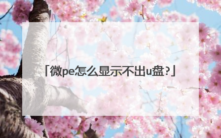 微pe怎么显示不出u盘?