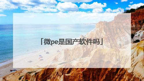 微pe是国产软件吗
