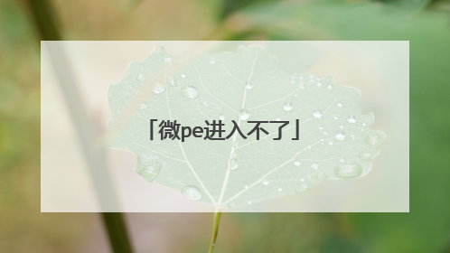 微pe进入不了