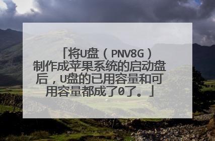 将U盘（PNV8G）制作成苹果系统的启动盘后，U盘的已用容量和可用容量都成了0了。