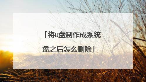 将U盘制作成系统盘之后怎么删除