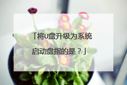 将U盘升级为系统启动盘指的是？