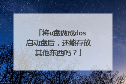 将u盘做成dos启动盘后，还能存放其他东西吗？