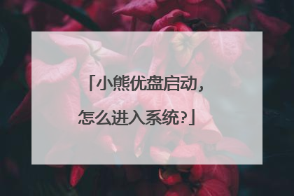 小熊优盘启动,怎么进入系统?