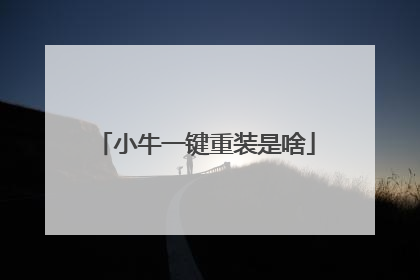 小牛一键重装是啥