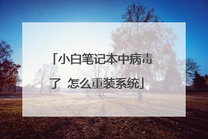 小白笔记本中病毒了 怎么重装系统
