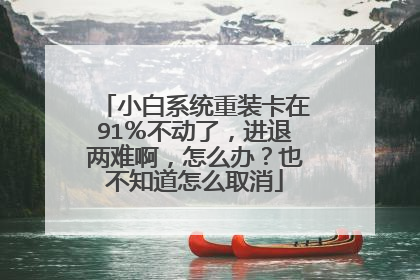 小白系统重装卡在91％不动了，进退两难啊，怎么办？也不知道怎么取消