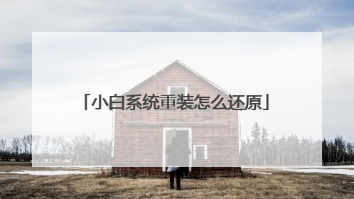 小白系统重装怎么还原