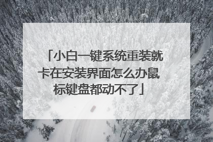 小白一键系统重装就卡在安装界面怎么办鼠标键盘都动不了