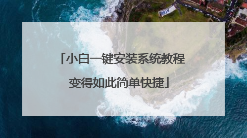 小白一键安装系统教程 变得如此简单快捷
