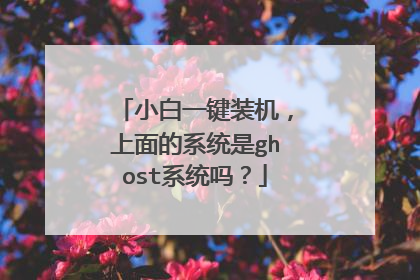 小白一键装机,上面的系统是ghost系统吗?