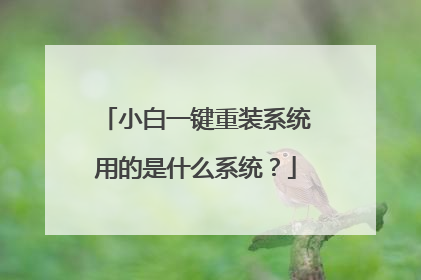 小白一键重装系统用的是什么系统?
