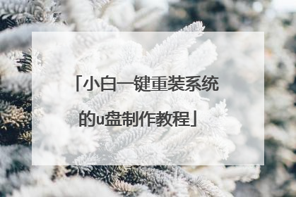小白一键重装系统的u盘制作教程