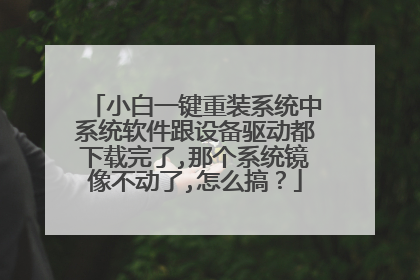 小白一键重装系统中系统软件跟设备驱动都下载完了,那个系统镜像不动了,怎么搞？
