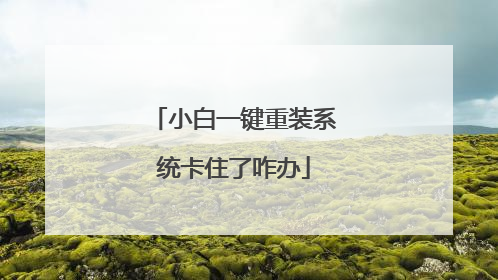 小白一键重装系统卡住了咋办