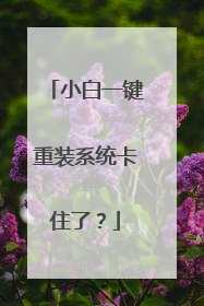 小白一键重装系统卡住了?