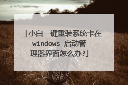 小白一键重装系统卡在windows 启动管理器界面怎么办?