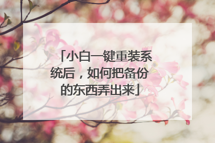 小白一键重装系统后,如何把备份的东西弄出来