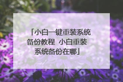 小白一键重装系统备份教程 小白重装系统备份在哪