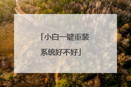 小白一键重装系统好不好