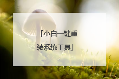 小白一键重装系统工具