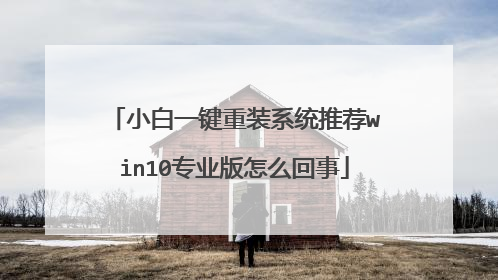 小白一键重装系统推荐win10专业版怎么回事
