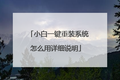 小白一键重装系统怎么用详细说明