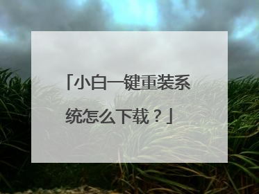 小白一键重装系统怎么下载?