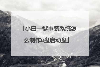 小白一键重装系统怎么制作u盘启动盘