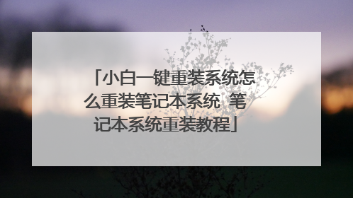 小白一键重装系统怎么重装笔记本系统 笔记本系统重装教程