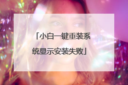小白一键重装系统显示安装失败