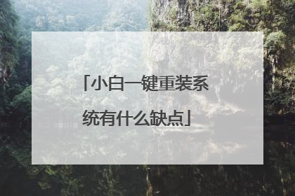 小白一键重装系统有什么缺点