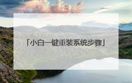 小白一键重装系统步骤
