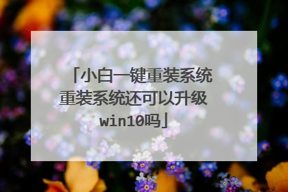 小白一键重装系统重装系统还可以升级win10吗