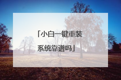 小白一键重装系统靠谱吗
