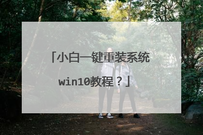 小白一键重装系统win10教程?