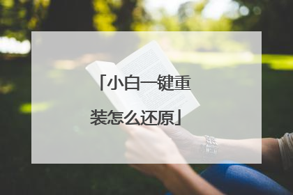 小白一键重装怎么还原
