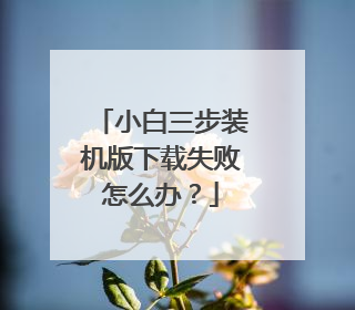 小白三步装机版下载失败怎么办？