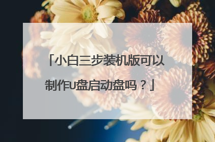 小白三步装机版可以制作U盘启动盘吗？