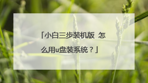 小白三步装机版 怎么用u盘装系统？