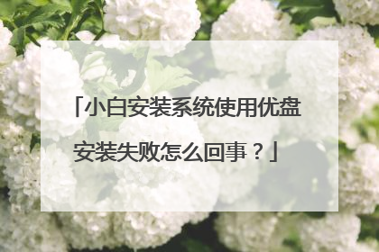 小白安装系统使用优盘安装失败怎么回事?